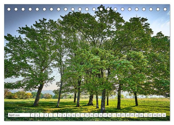 Produktbild: B&auml;ume im Altm&uuml;hltal (Tischkalender 2026 DIN A5 quer), CALVENDO Monatskalender