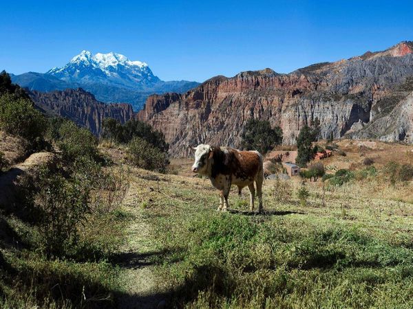 Produktbild: CALVENDO Puzzle Canyon de Palca, 3.465 m &uuml;. M., Bolivien | 1000 Teile Lege-Gr&ouml;&szlig;e 64x48cm Foto-Puzzle f&uuml;r gl&uuml;ckliche Stunden