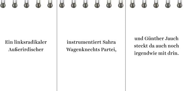 Produktbild: Der Desinformator