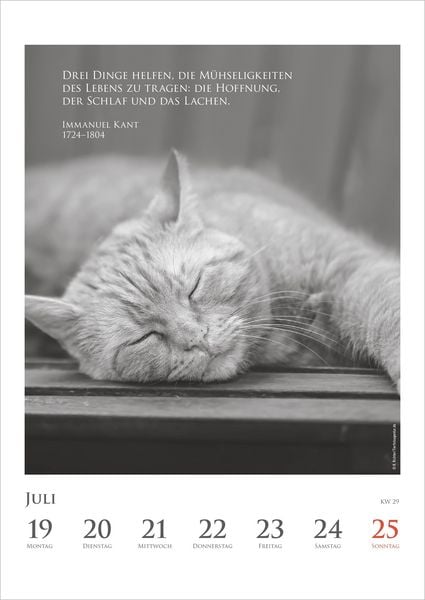 Produktbild: DUMONTS Katzenkalender 2027