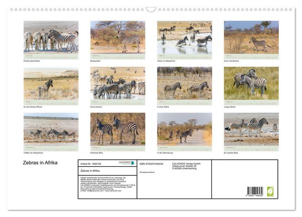 Produktbild: Zebras in Afrika (Wandkalender 2026 DIN A2 quer), CALVENDO Monatskalender