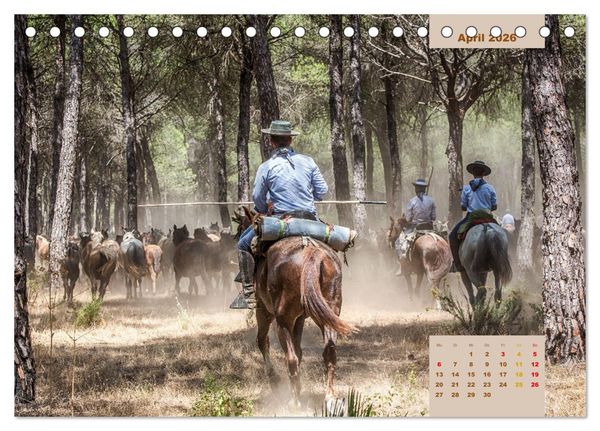 Produktbild: Pferde - Andalusiens wilder Westen (Tischkalender 2026 DIN A5 quer), CALVENDO Monatskalender