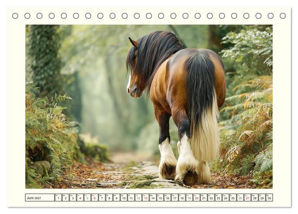Produktbild: Irlands Pferde. Irish Tinker zwischen Weiden, Wasser und Wald (Tischkalender 2027 DIN A5 quer), CALVENDO Monatskalender