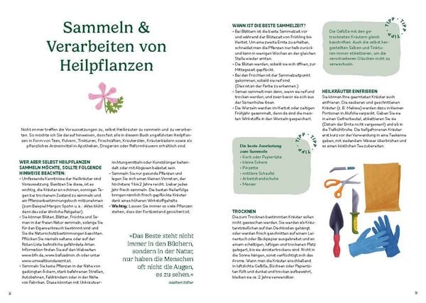 Produktbild: Heilen mit pflanzlichen Antibiotika