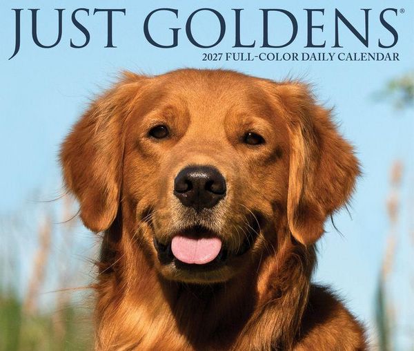 Produktbild: Goldens 2027 5.4 X 6.2 Box Calendar