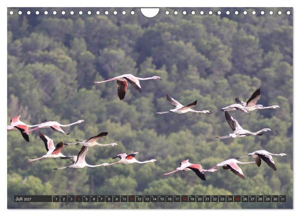 Produktbild: Ibiza - Balearen (Wandkalender 2027 DIN A4 quer), CALVENDO Monatskalender