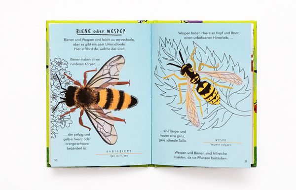 Produktbild: Hallo Insekten