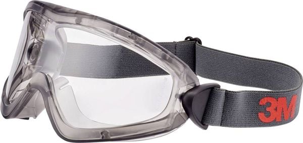 3M 2891-SG Vollsichtbrille mit Antibeschlag-Schutz Grau