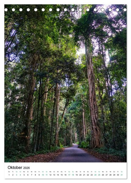 Produktbild: Regenwald - Australien (Tischkalender 2026 DIN A5 hoch), CALVENDO Monatskalender