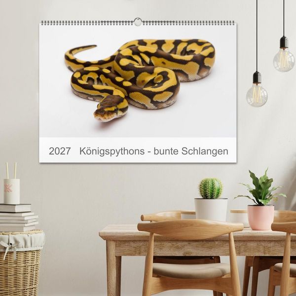 Produktbild: K&ouml;nigspythons - bunte Schlangen (Wandkalender 2027 DIN A2 quer), CALVENDO Monatskalender