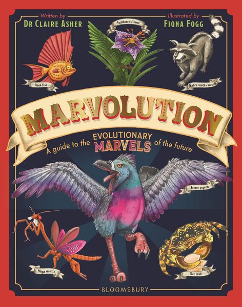 Produktbild: Marvolution
