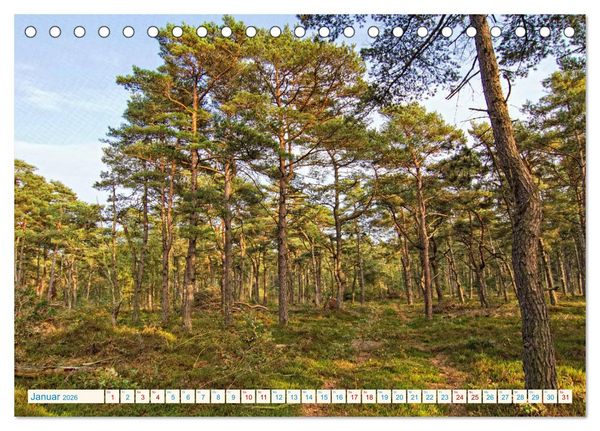 Produktbild: Cuxhaven, Landschaften zwischen K&uuml;ste und Heide (Tischkalender 2026 DIN A5 quer), CALVENDO Monatskalender