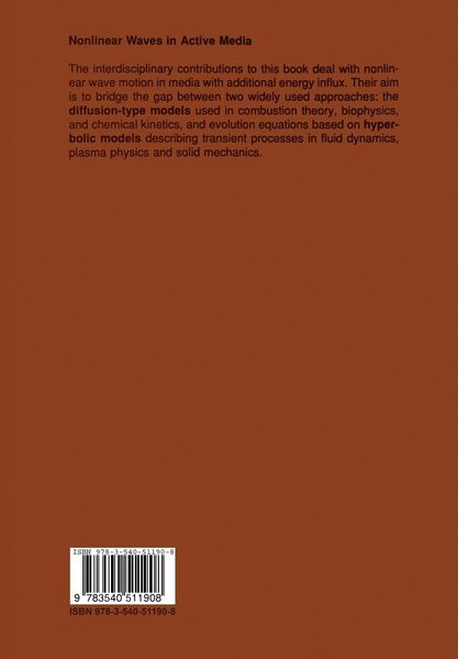 Produktbild: Nonlinear Waves in Active Media