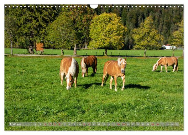 Produktbild: Achensee - im Herzen der Tiroler Alpen (Wandkalender 2026 DIN A3 quer), CALVENDO Monatskalender