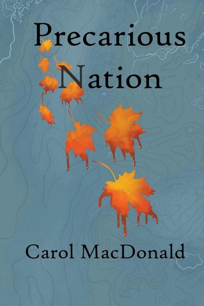 Produktbild: Precarious Nation