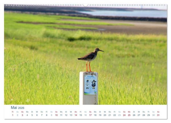 Produktbild: Butjadingen 2026. Impressionen zwischen Jade und Weser (Wandkalender 2026 DIN A2 quer), CALVENDO Monatskalender