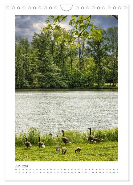 Produktbild: Mein Steinertsee (Wandkalender 2026 DIN A4 hoch), CALVENDO Monatskalender