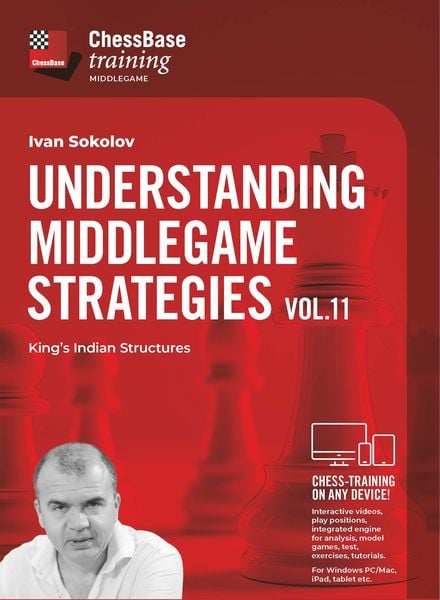 Produktbild: Understanding Middlegame Strategies Vol. 11