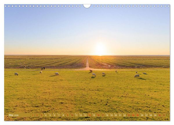 Produktbild: Einmaliges Westerhever (Wandkalender 2026 DIN A3 quer), CALVENDO Monatskalender