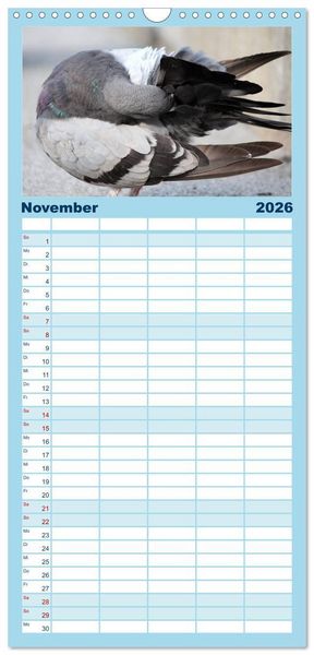 Produktbild: Familienplaner 2026 - Geliebte Tauben mit 5 Spalten (Wandkalender, 21 x 45 cm) CALVENDO