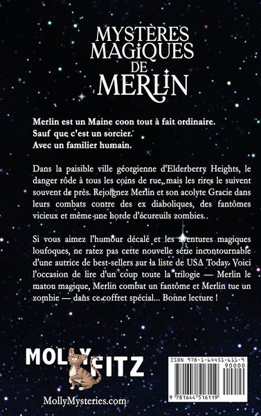 Produktbild: Myst&egrave;res Magiques de Merlin