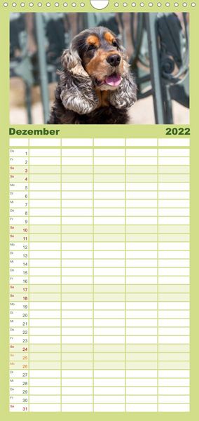 Produktbild: Familienplaner English Cocker Spaniel - Fr&ouml;hliche Gesellen (Wandkalender 2022 , 21 cm x 45 cm, hoch)