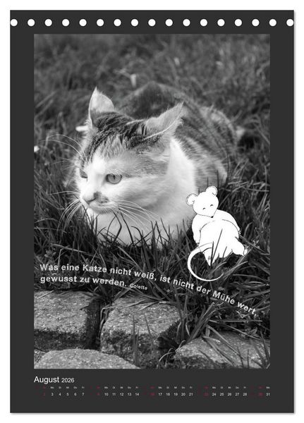 Produktbild: Katz & Maus (Tischkalender 2026 DIN A5 hoch), CALVENDO Monatskalender
