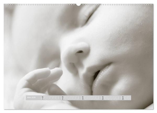 Produktbild: ...so winzig - Babykalender (hochwertiger Premium Wandkalender 2026 DIN A2 quer), Kunstdruck in Hochglanz