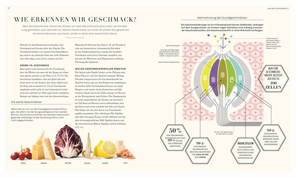 Produktbild: So funktioniert Geschmack