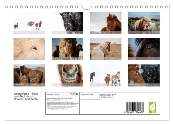 Produktbild: Islandpferde - Stolz und Stark durch Sommer und Winter (Wandkalender 2026 DIN A4 quer), CALVENDO Monatskalender