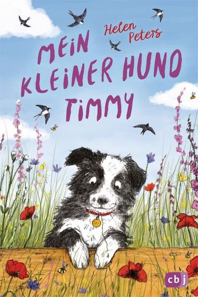 Produktbild: Mein kleiner Hund Timmy