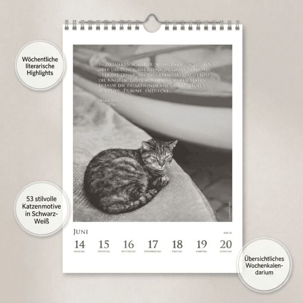 Produktbild: DUMONTS Katzenkalender 2027