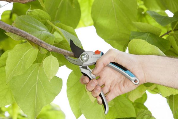 Produktbild: GARDENA 08906-20 B/L Gartenschere Bypass