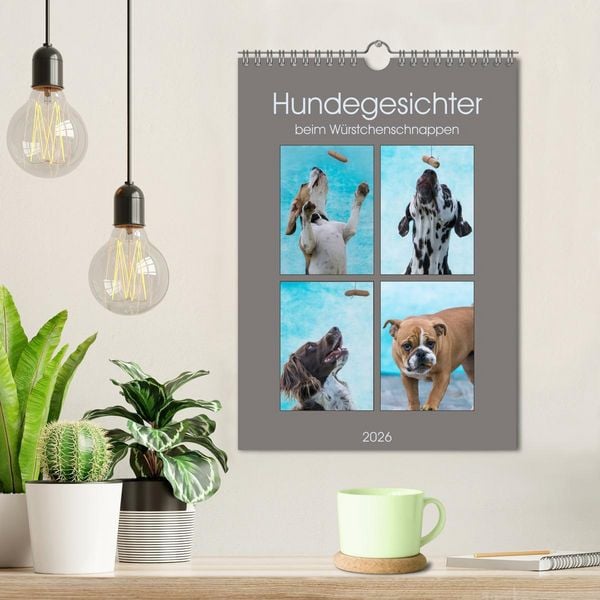 Produktbild: Hundegesichter beim W&uuml;rstchenschnappen (Wandkalender 2026 DIN A4 hoch), CALVENDO Monatskalender