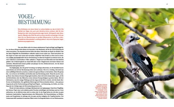 Produktbild: Unsere Vogelwelt