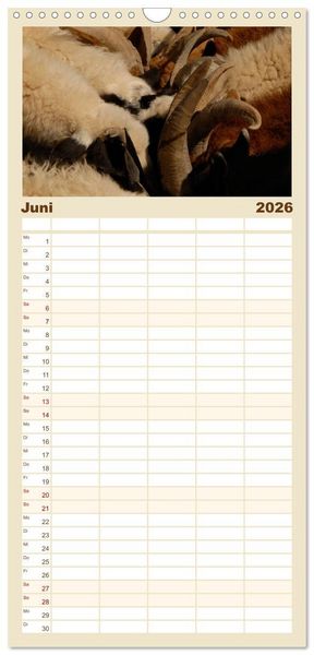 Produktbild: Familienplaner 2026 - W&uuml;ste Gobi mit 5 Spalten (Wandkalender, 21 x 45 cm) CALVENDO