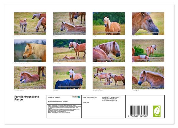 Produktbild: Familienfreundliche Pferde (Wandkalender 2026 DIN A4 quer), CALVENDO Monatskalender