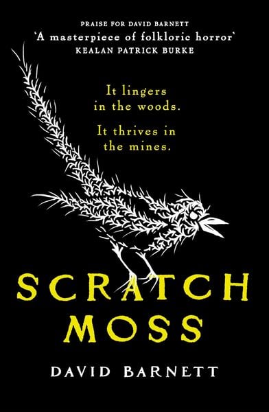 Produktbild: Scratch Moss