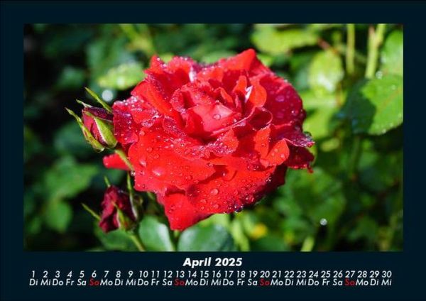 Produktbild: Natur 2025 Fotokalender DIN A5
