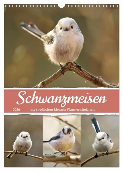 Produktbild: Schwanzmeisen, die niedlichen kleinen Pfannenstielchen (Wandkalender 2026 DIN A3 hoch), CALVENDO Monatskalender