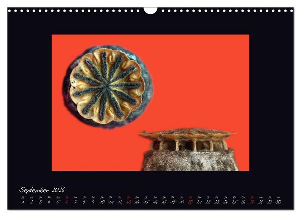 Produktbild: MOHNographie (Wandkalender 2026 DIN A3 quer), CALVENDO Monatskalender