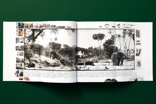 Produktbild: Peter Beard