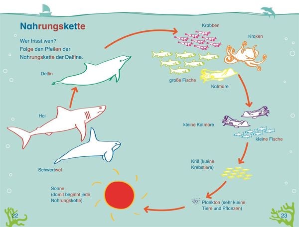 Produktbild: SUPERLESER! Wo bist du, kleiner Delfin?