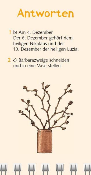 Produktbild: Br&auml;uche-Quiz