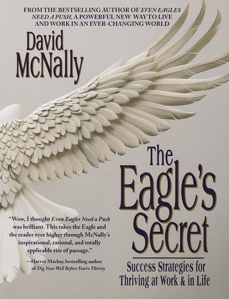 Produktbild: The Eagle's Secret