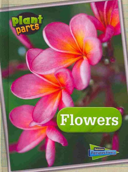 Produktbild: Flowers