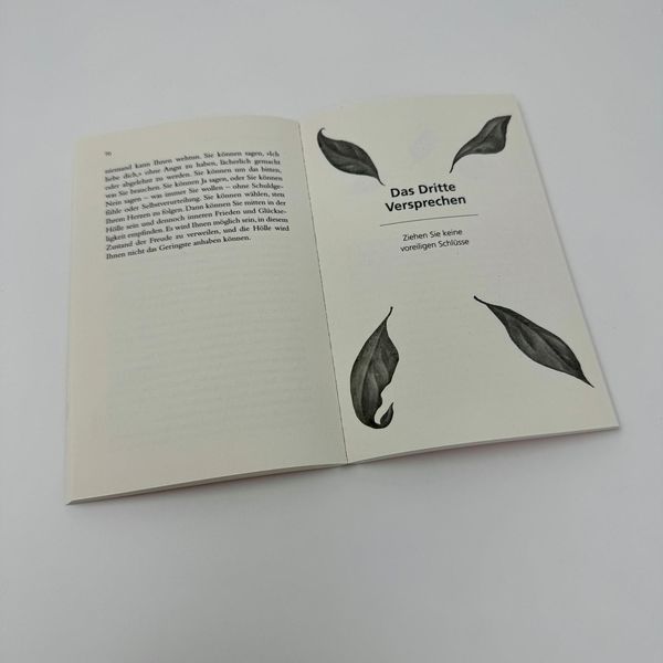Produktbild: Die vier Versprechen