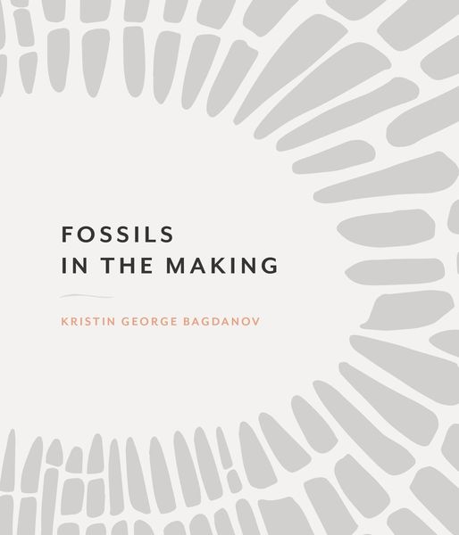 Produktbild: Fossils in the Making