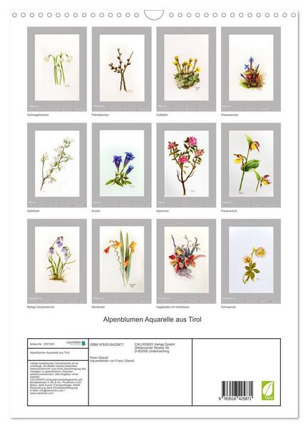 Produktbild: Alpenblumen Aquarelle aus Tirol (Wandkalender 2026 DIN A3 hoch), CALVENDO Monatskalender