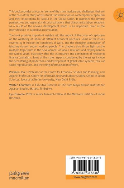 Produktbild: Labour Questions in the Global South